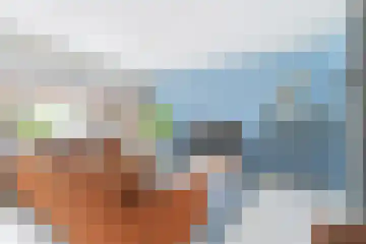 Kalkoensprenk 81 Vlissingen thumbnail 8