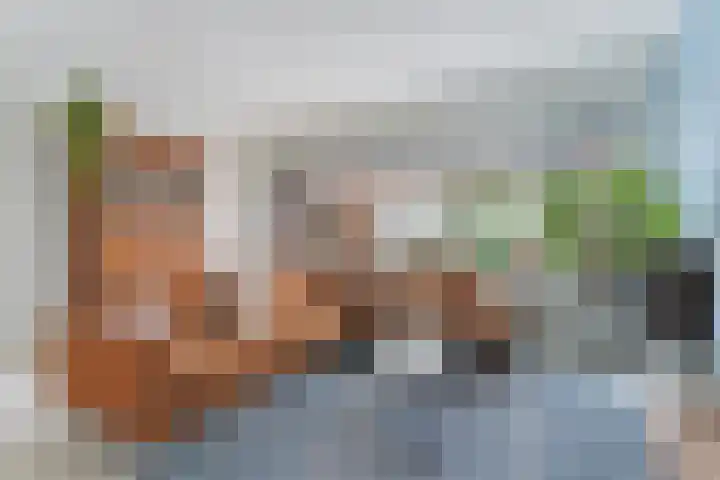 Kalkoensprenk 81 Vlissingen thumbnail 9