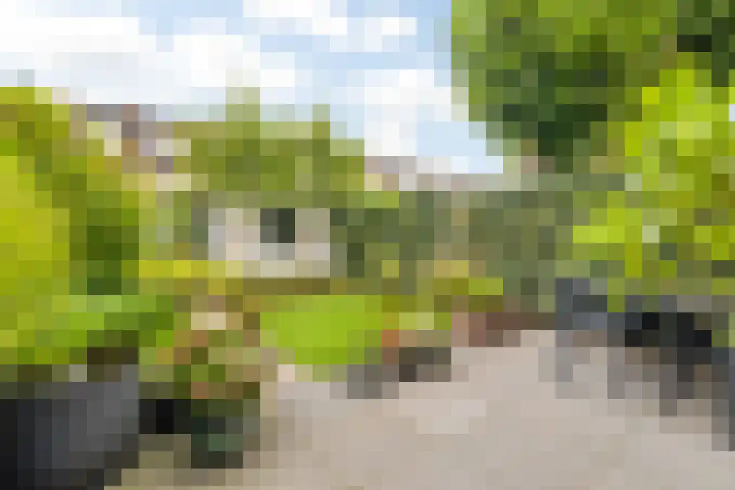 Kalkoenstraat 5 Breda thumbnail 38