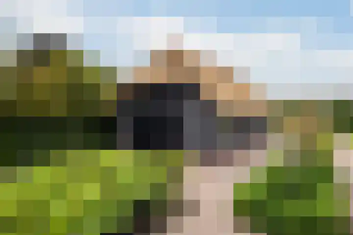 Kalkoenweg 20 Ermelo thumbnail 10