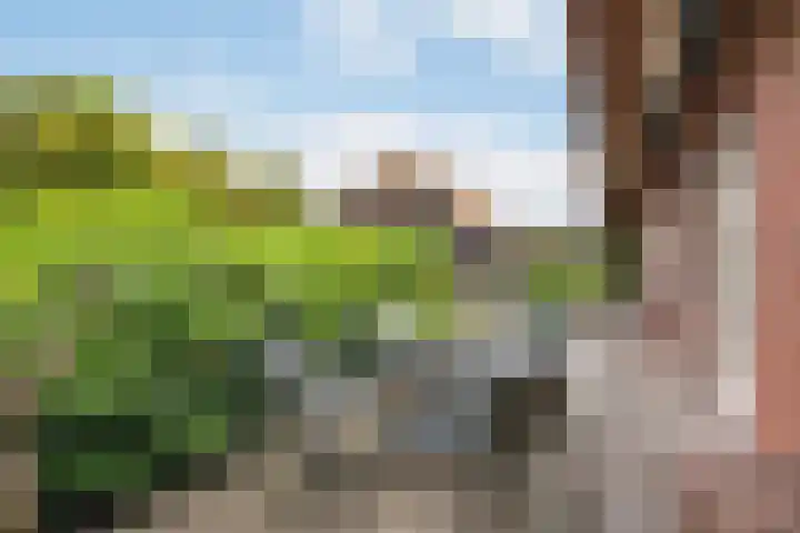Kalkoenweg 20 Ermelo thumbnail 11