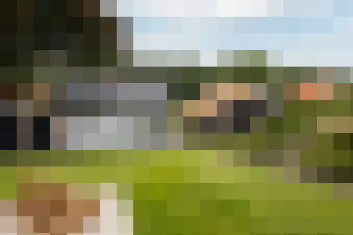 Kalkoenweg 20 Ermelo thumbnail 12