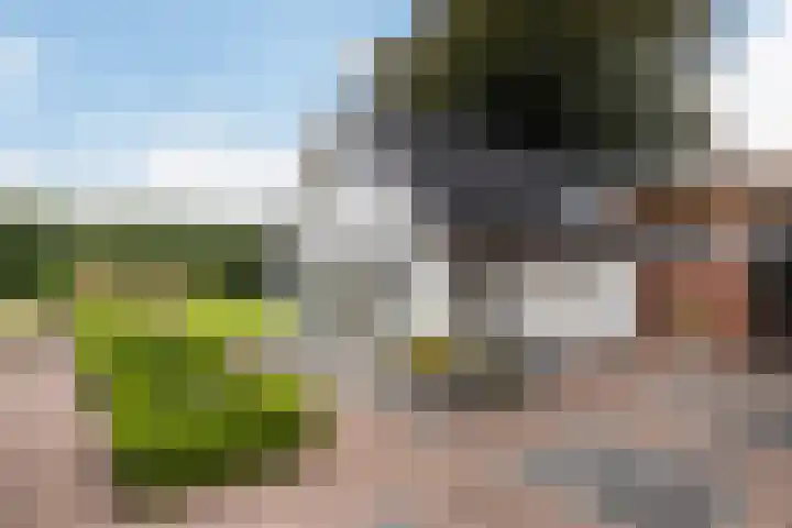 Kalkoenweg 20 Ermelo thumbnail 13