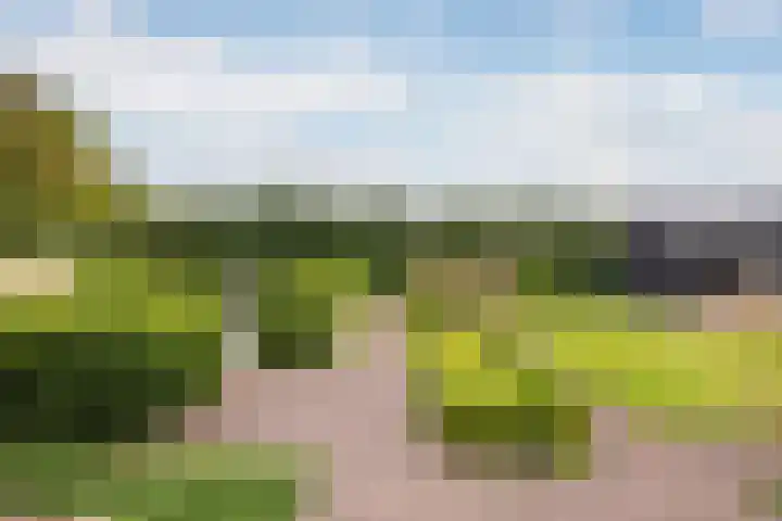 Kalkoenweg 20 Ermelo thumbnail 14