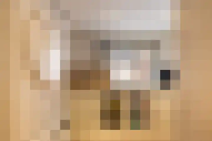 Kalkoenweg 20 Ermelo thumbnail 33