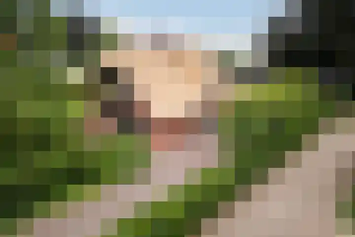 Kalkoenweg 20 Ermelo thumbnail 4
