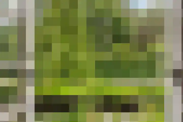 Kalkoenweg 20 Ermelo thumbnail 41