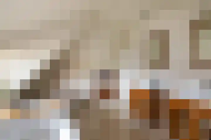 Kalkoenweg 20 Ermelo thumbnail 47