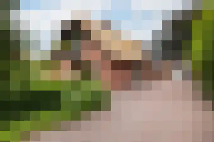 Kalkoenweg 20 Ermelo thumbnail 5