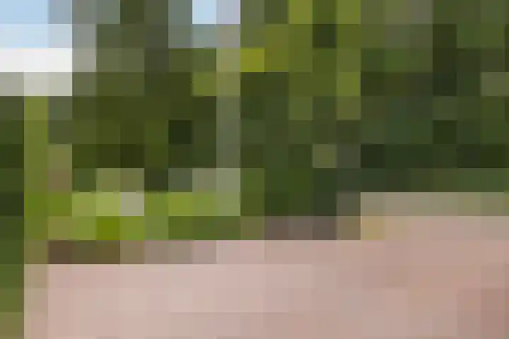Kalkoenweg 20 Ermelo thumbnail 50