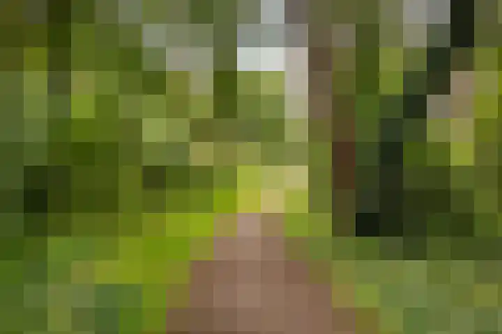Kalkoenweg 20 Ermelo thumbnail 51