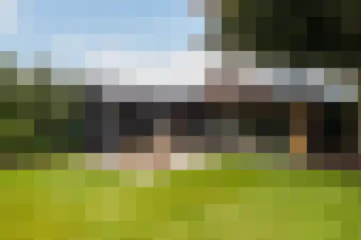 Kalkoenweg 20 Ermelo thumbnail 7
