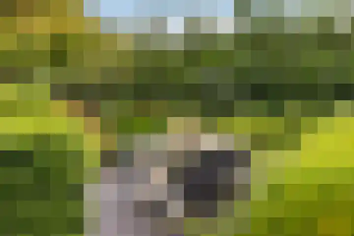 Kalkoenweg 20 Ermelo thumbnail 9