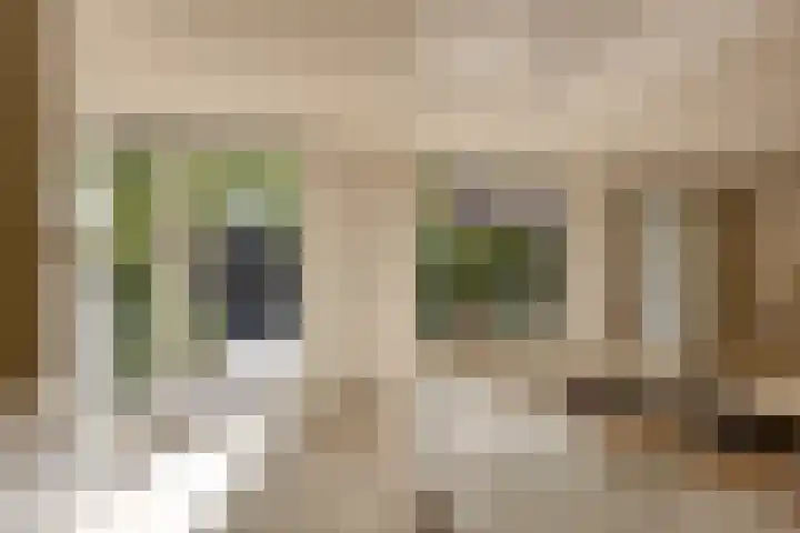 Kalkovens 5 Muiden thumbnail 18