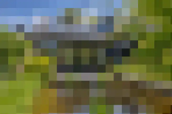 Kalkovens 5 Muiden thumbnail 34