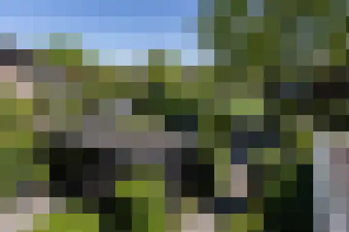 Kalkovens 5 Muiden thumbnail 46