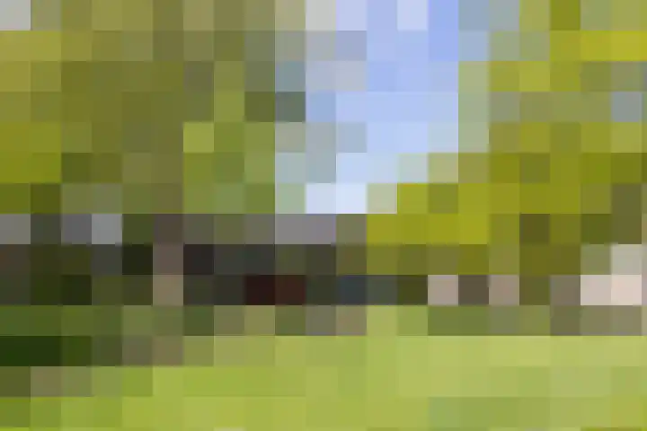 Kalkovens 5 Muiden thumbnail 50