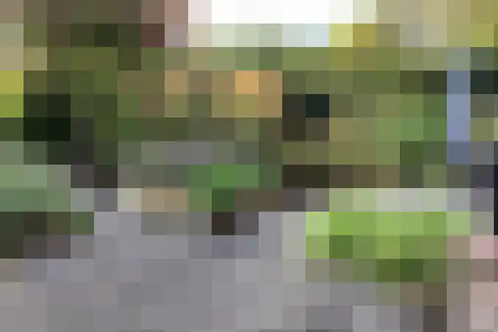 Kalkovens 5 Muiden thumbnail 53