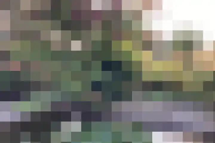 Kalkovens 5 Muiden thumbnail 54