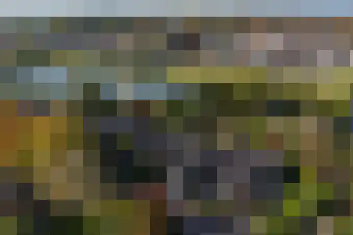 Kalkovens 5 Muiden thumbnail 7