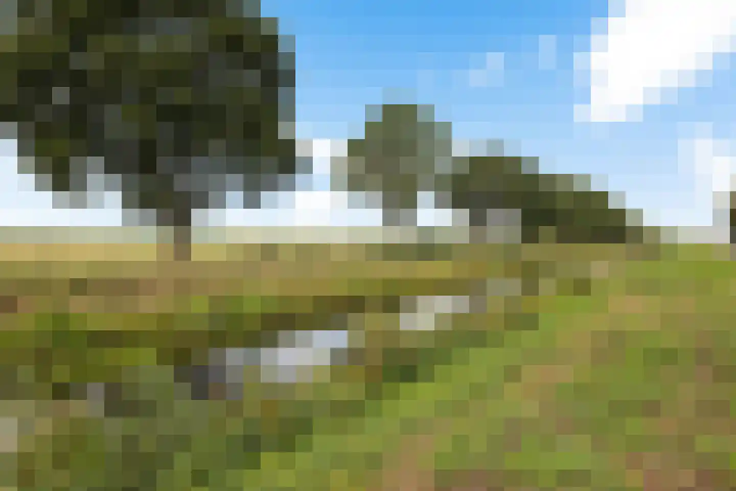 Kalkovenwijk OZ 19 Emmer-Compascuum thumbnail 8