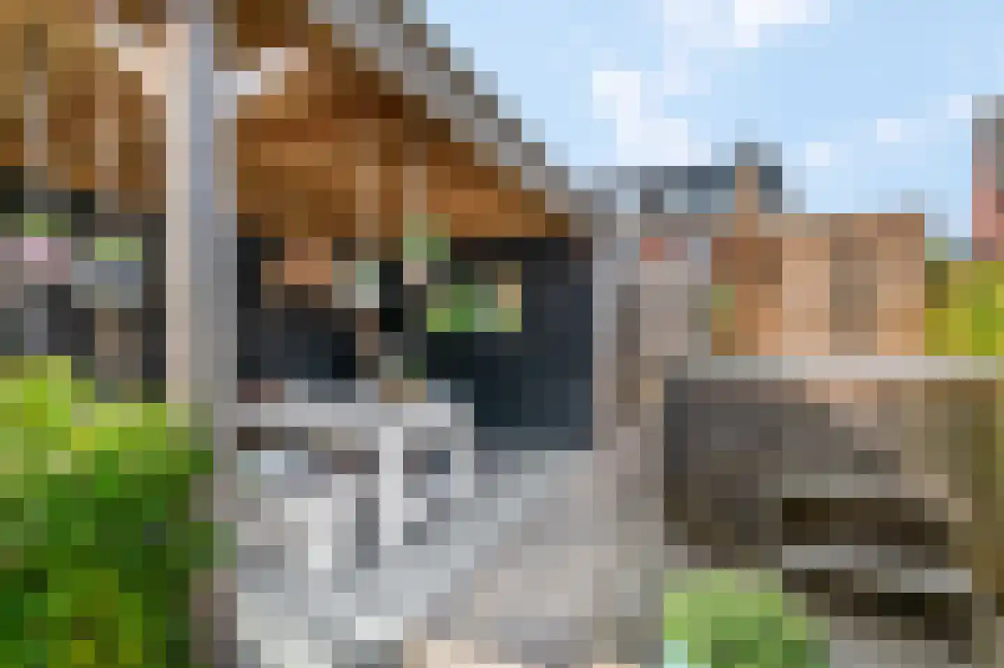Kalkplein 7 Ede thumbnail 32