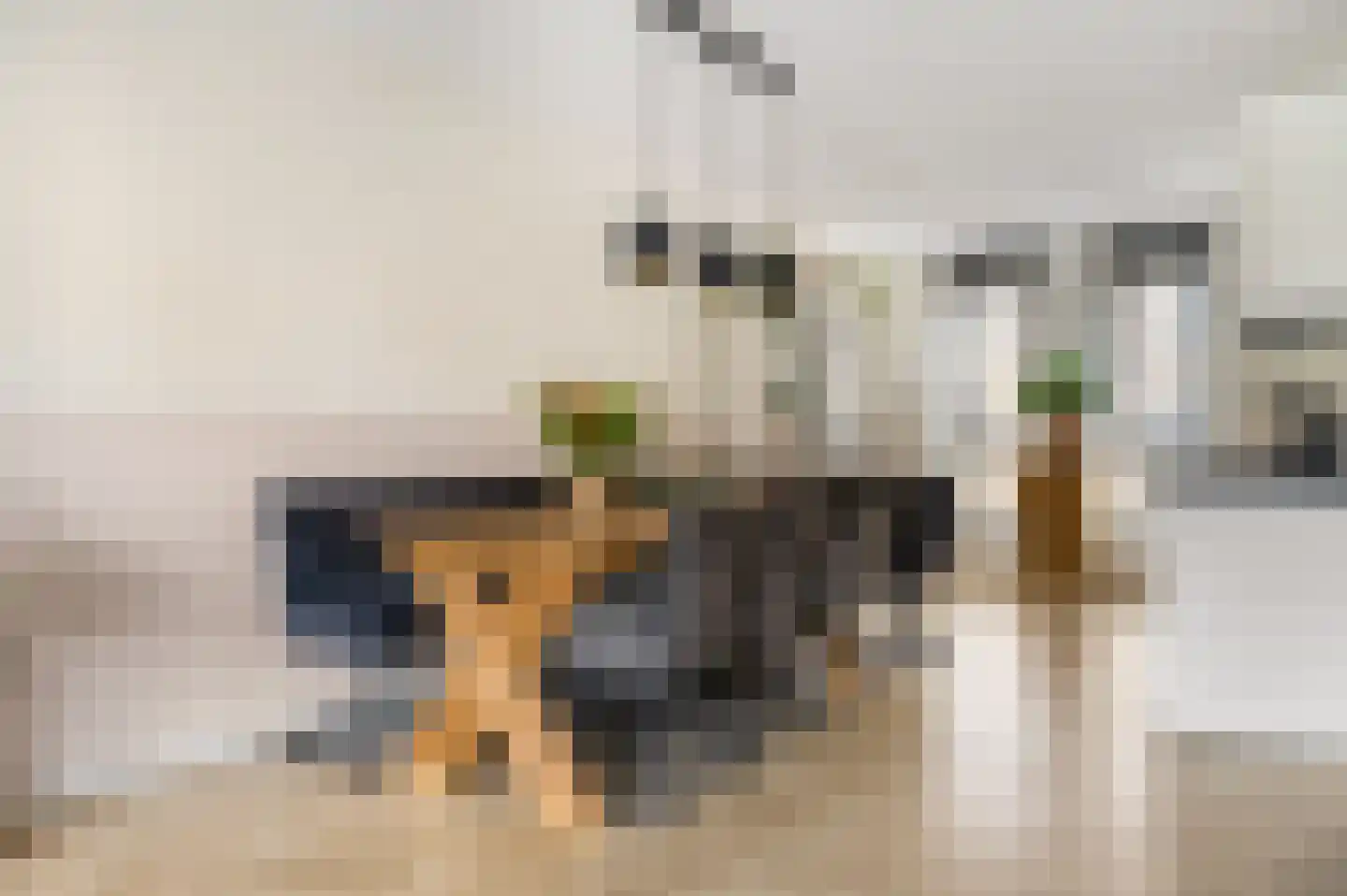 Kalkplein 7 Ede thumbnail 5