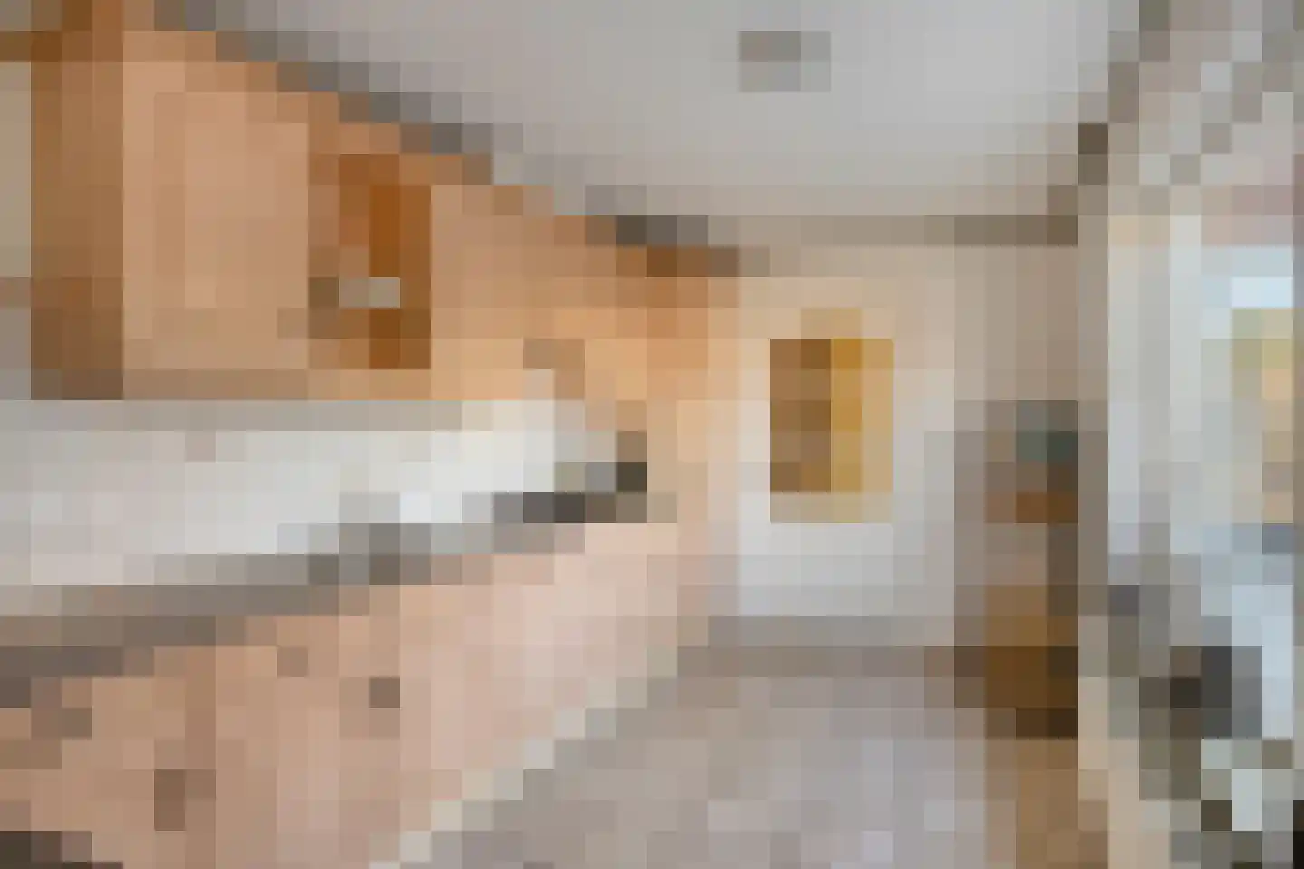 Kalksheuvel 16 Boxtel thumbnail 10
