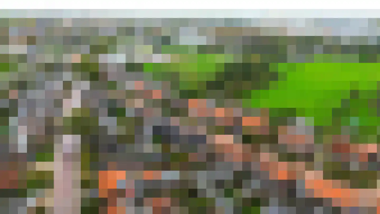 Kalksheuvel 2 Boxtel thumbnail 32