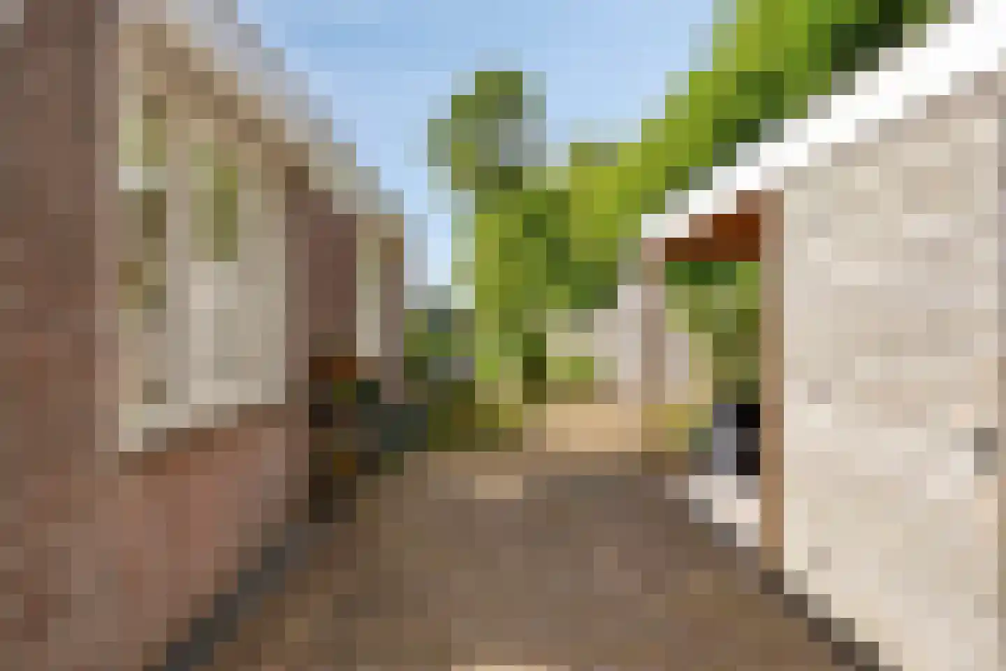 Kalksheuvel 7 Boxtel thumbnail 19
