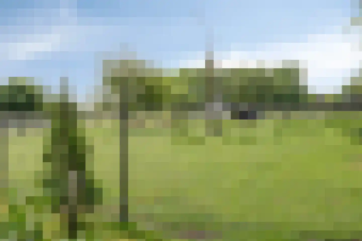 Kalksheuvel 7 Boxtel thumbnail 24