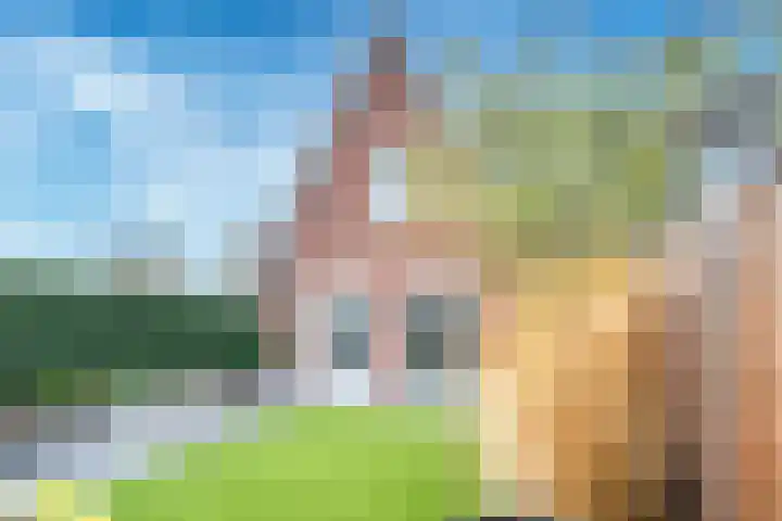 Kalksteen 1 Houten thumbnail 14
