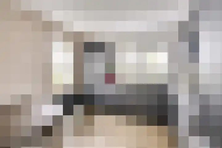 Kalksteen 1 Houten thumbnail 20