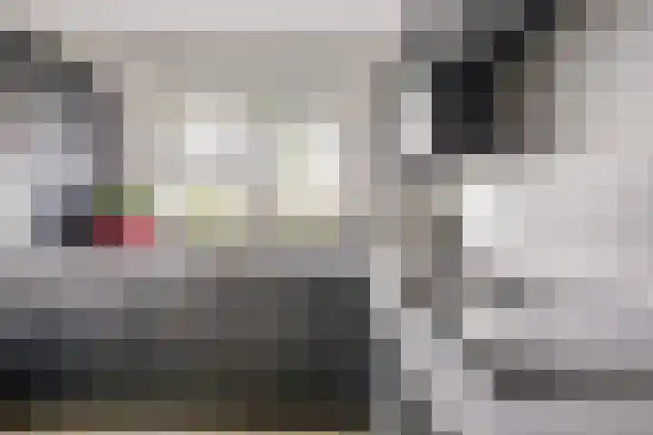 Kalksteen 1 Houten thumbnail 22