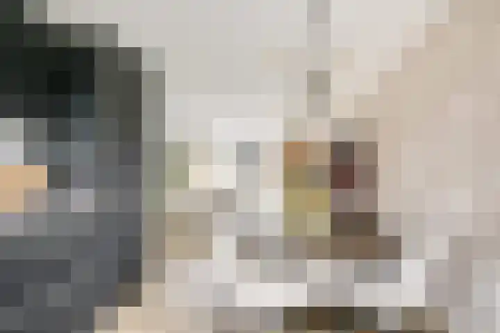 Kalksteen 1 Houten thumbnail 24