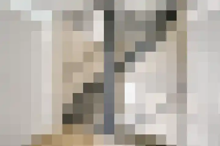 Kalksteen 1 Houten thumbnail 26