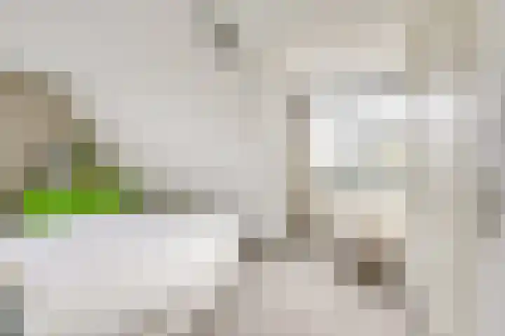 Kalksteen 1 Houten thumbnail 27