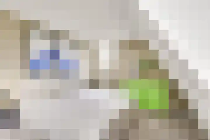 Kalksteen 1 Houten thumbnail 28