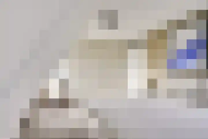 Kalksteen 1 Houten thumbnail 29
