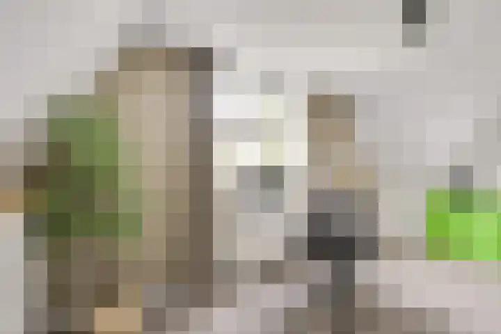 Kalksteen 1 Houten thumbnail 38