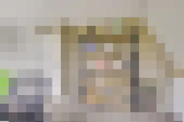 Kalksteen 1 Houten thumbnail 39