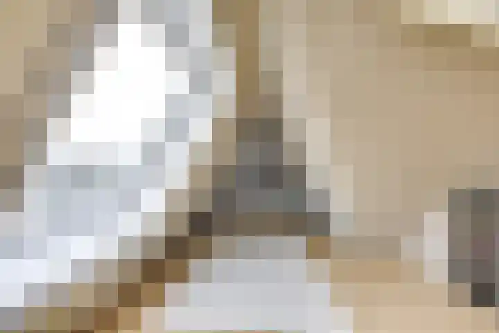 Kalksteen 1 Houten thumbnail 41
