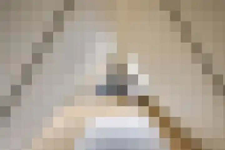 Kalksteen 1 Houten thumbnail 42