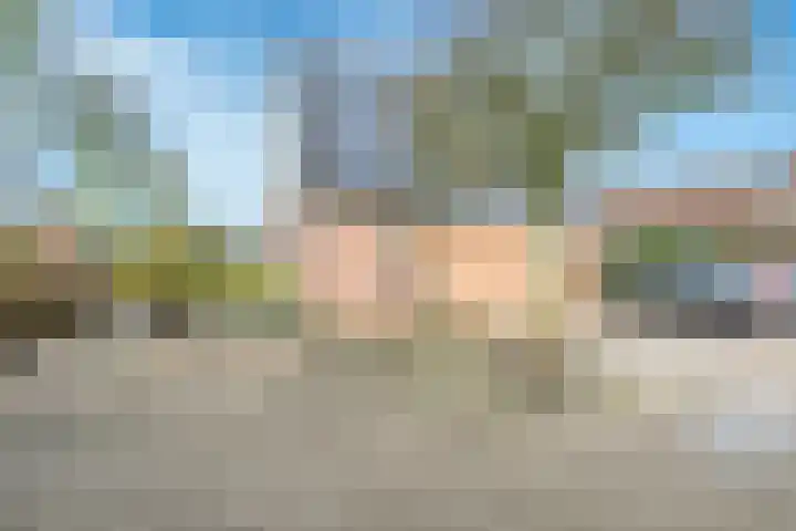 Kalksteen 1 Houten thumbnail 44
