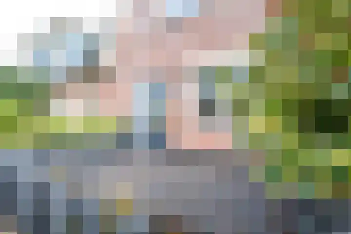 Kalksteen 1 Houten thumbnail 46