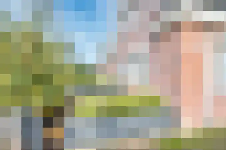 Kalksteen 1 Houten thumbnail 47