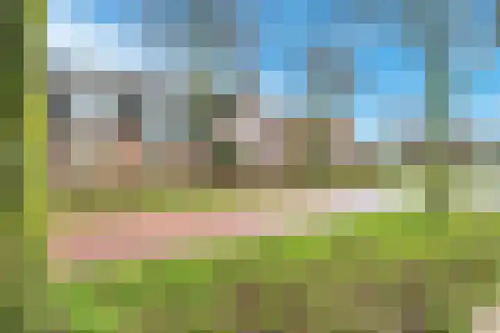 Kalksteen 1 Houten thumbnail 49