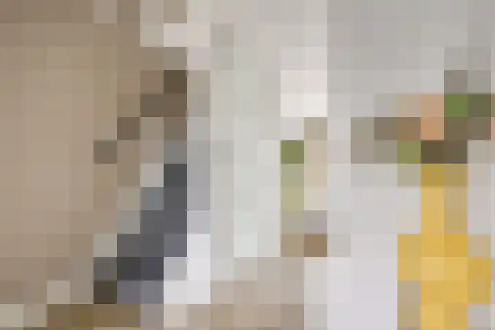 Kalksteen 1 Houten thumbnail 5