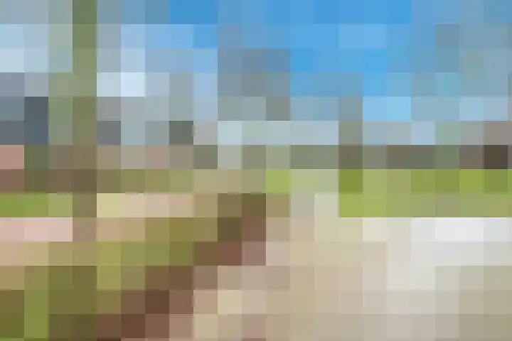 Kalksteen 1 Houten thumbnail 50