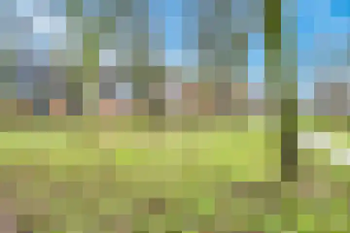 Kalksteen 1 Houten thumbnail 51